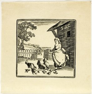 Book Illustration