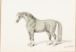 The Black Horse