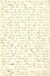 Thomas Butler Gunn Diaries - Volume 6, page 206, November 24-25, 1853 by Thomas Butler Gunn