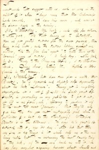 Thomas Butler Gunn Diaries - Volume 8, page 53, August 29-31, 1856 by Thomas Butler Gunn