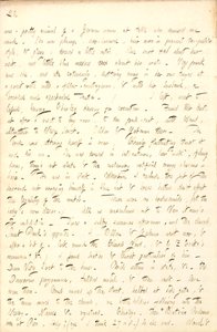 Thomas Butler Gunn Diaries by Thomas Butler Gunn