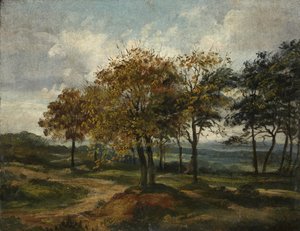 Wooded Landscape by Thomas Churchyard