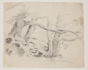 Oak and Hemlock Trees by Thomas Cole