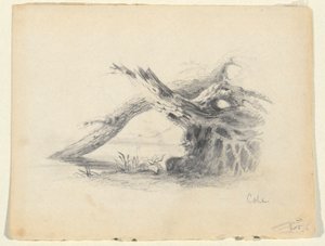 Sketch of Two Dead Trees by Thomas Cole