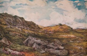 Blythburgh Common by Thomas Collier