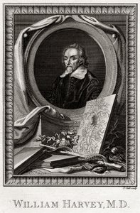 William Harvey