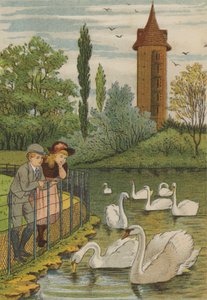 Paris: the swans