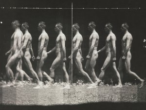 Man Walking, Stroboscopic Photograph, 1880s, printed 1930s-40s by Thomas Eakins
