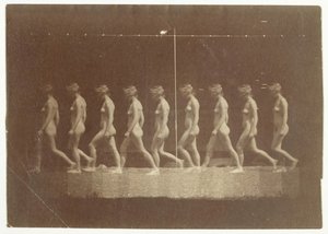 Marey Wheel Photographs of Unidentified Model by Thomas Eakins