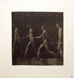 Marey Wheel Photographs of Unidentified Model, c. 1884 by Thomas Eakins
