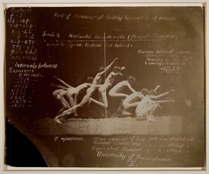 Marey Wheel Photographs of Unidentified Model, with Eadweard Muybridge Notations by Thomas Eakins