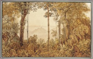 View Overlooking Rio de Janeiro from the Tijuca Forest by Thomas Ender