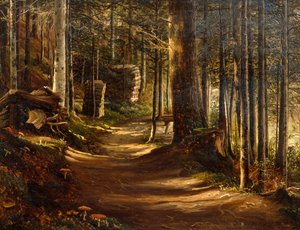 Road in Coniferous Forest