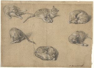 Six Studies of a Cat