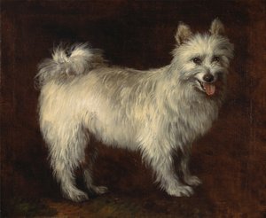 Spitz Dog, A Dog by Thomas Gainsborough