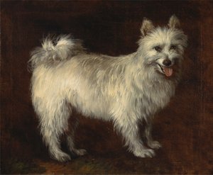 Spitz Dog by Thomas Gainsborough