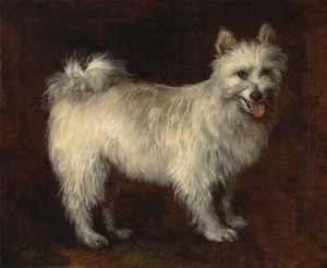 Spitz Dog by Thomas Gainsborough RA