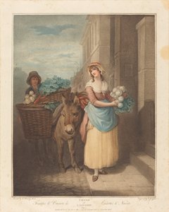 Turnips and Carrots