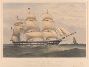 Clipper Ship 