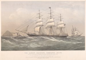 The Albion Shipping Company