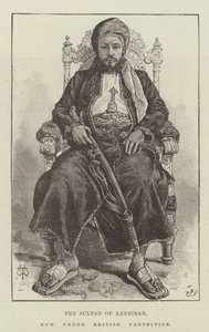 The Sultan of Zanzibar, now under British Protection by Thomas Harrington Wilson