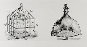 Wasp and Fly Traps, from Thomas Mawson