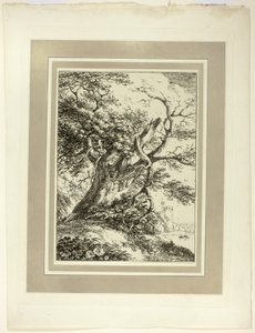 Old Tree, from the first issue of Specimens of Polyautography