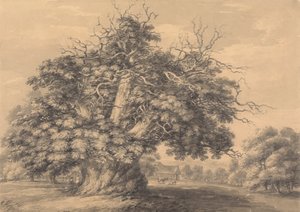 The Chestnut Tree at Little Wymondley, Hertfordshire by Thomas Hearne