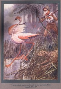 I Proceeded More Cautiously in My Pursuit of the Wounded Bird by Thomas Heath Robinson