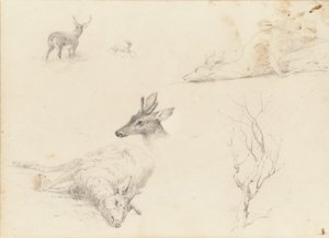 Sketchbook of Landscape and Animal Subjects, 1860-64 by Thomas Hewes Hinckley