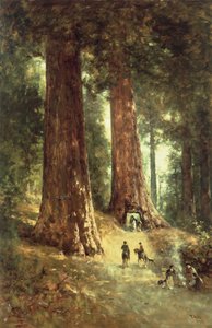 In the Redwoods by Thomas Hill