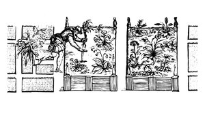 Planting in raised beds, from 