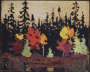 Black Spruce and Maple