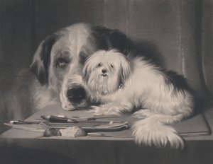 The Lion-Dog of Malta--The Last of His Tribe by Thomas Landseer