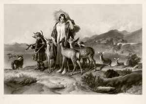 The Forester