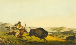 Hunting the Buffalo, 1848