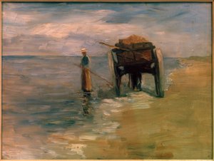 Seaweed Fisherwoman
