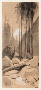 In the Yosemite Valley