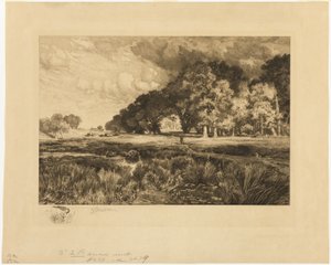 Long Island Landscape
