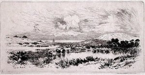 Montauk Ponds, Long Island