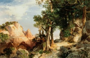 On the Berry Trail - Grand Canyon of Arizona