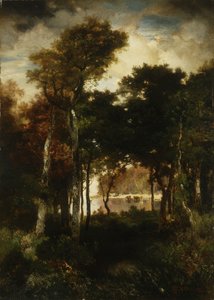 Woods by a River
