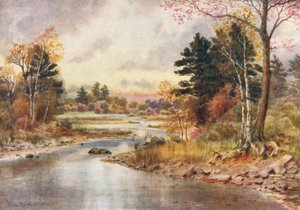 Autumn in New Brunswick