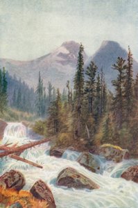 Glacier Crest, Illecillewaet