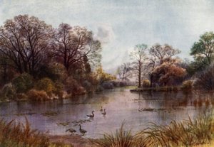 Kew Gardens: The Lake
