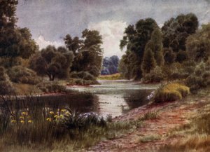 Kew Gardens: The Lake, Looking South