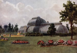 Kew Gardens: The Palm House by Thomas Mower Martin