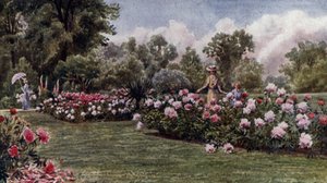 Kew Gardens: The Peonies