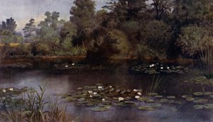 Kew Gardens: The Water Lily Pond by Thomas Mower Martin