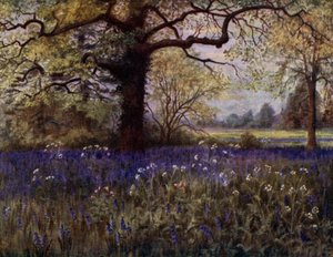 Kew Gardens: Wild Hyacinths by Thomas Mower Martin